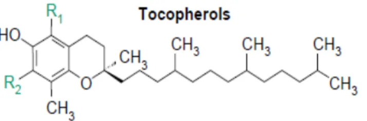Fig 1: General structure of tocopherols (DellaPenna, 2005b). 