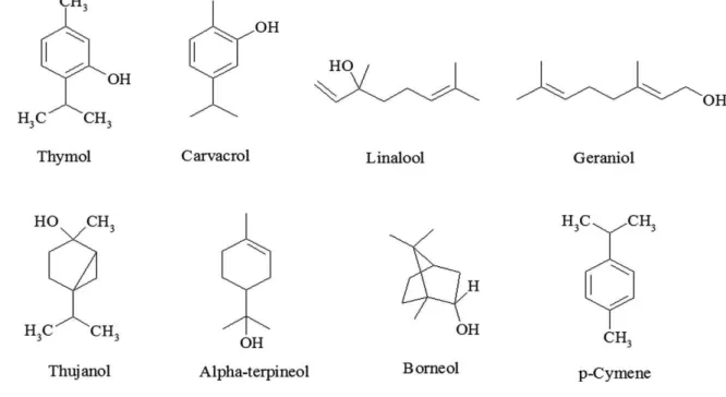 Figure 6: Chemical structure of the main chemical compounds occurring in genus  Thymus plants (Nabavi et al., 2015)