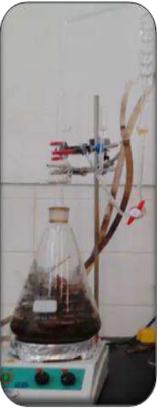 Figure 7: Extraction of EO by Clevenger apparatus. 
