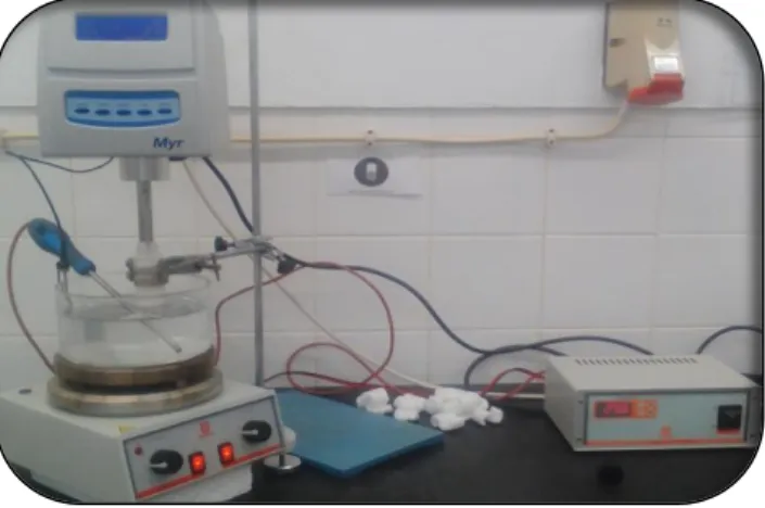 Figure 10: Viscosity measurement with the viscometer. 