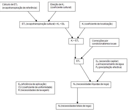 Figura 1 - Esquema do cálculo das necessidades reais de rega no caso de sistemas de rega localizada de alta  frequência