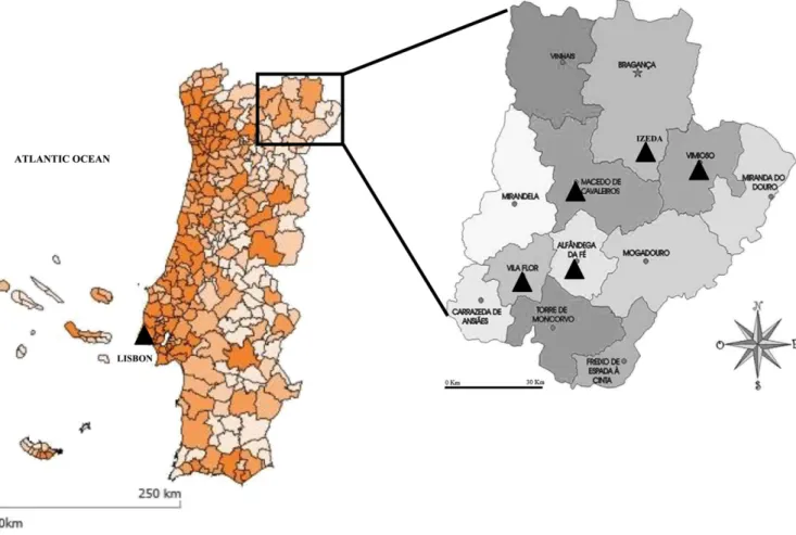 Fig. 1. Geographical representation of the study area.