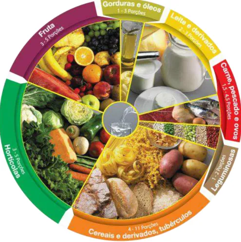 Figura 1. Nova Roda dos Alimentos 