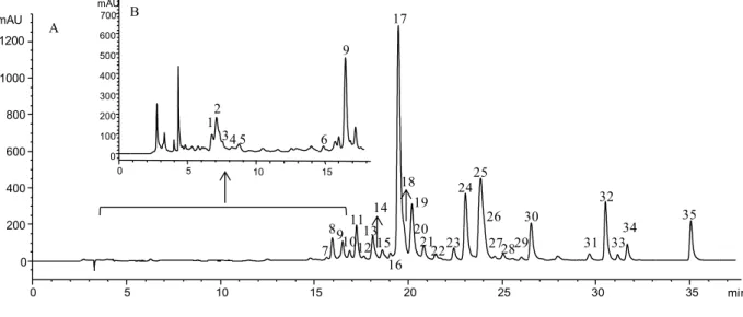 Figure 1. HPLC phenolic profile of Chenopodium ambrosiodes, obtained at 370 nm (A) and 280  nm (B) for flavonoids and phenolic acids, respectively