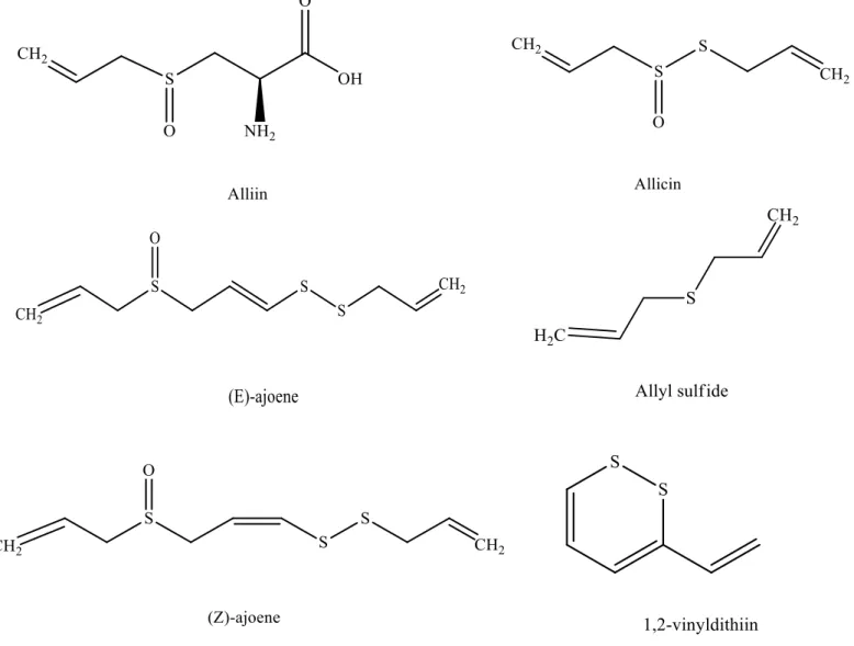 Figure  1.  Stereochemical  structure  of  the  most  representative  bioactive  constituents  from  Allium  sativum  L.:  alliin,  allicin,  allyl  sulfide,  (E)-ajoene,  (Z)-ajoene  and   1,2-vinyldithiin