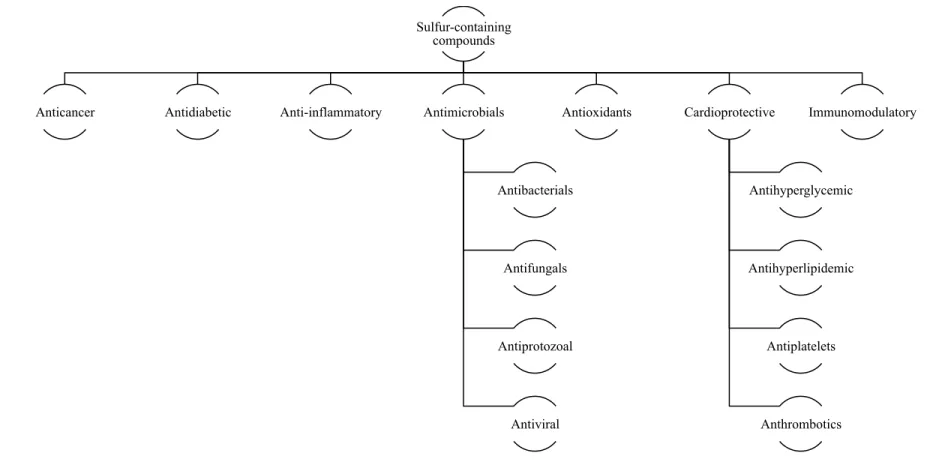 Figure 2. Bioactive properties of the most abundant garlic constituents, sulfur-containing compounds