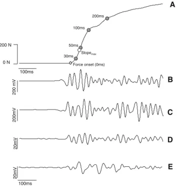 Figure 2 illustrates the ARV data from the VM and VL during the MVC. Immediately post-exercise, the ARV of the vasti muscles was reduced by 18.4 ± 9.2% when compared to baseline (P \ 0.05; Fig