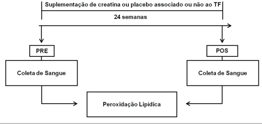 FIGURA 1 - Desenho experimental.