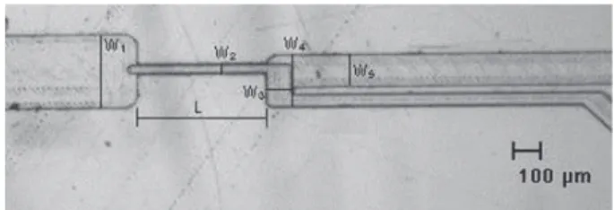 Table 1.   Main dimensions of the tested microfluidic devices.  