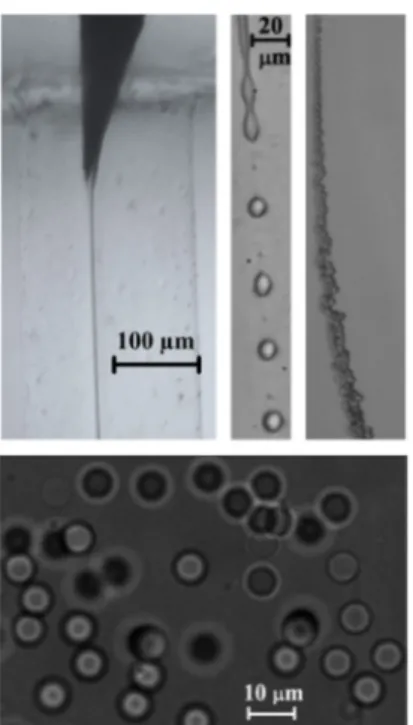 Figure 1.   Images acquired in the course of the experiments along  the stream of fluids: (above, from left to right) emitted jet of PDMS  precursor attached to the needle tip, PDMS droplets about 10 µm in  diameter formed after the jet breakage, and strea