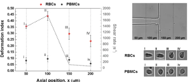 Fig. 6 Averaged deformation index obtained from PBMCs and RBCs flowing within the hyperbolic and recuperation section of the microchannel device