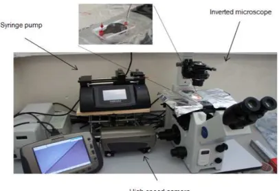 Figure 2. Experimental apparatus to control and visualize the flow in microchannels  produced by xurography
