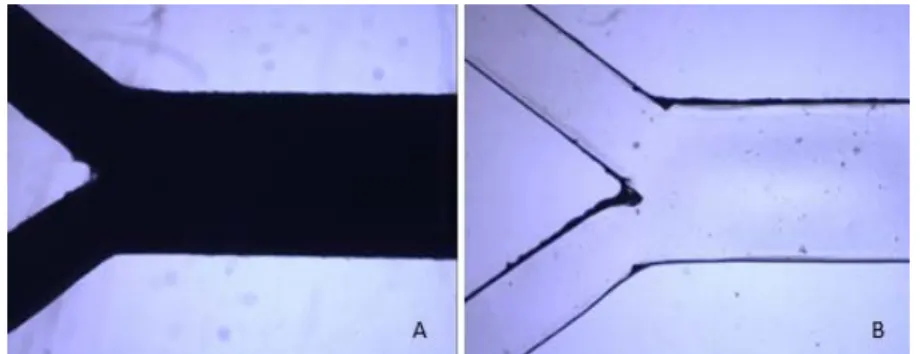 Figure 3 shows the vinyl mold master and the correspondent PDMS microchannel. 