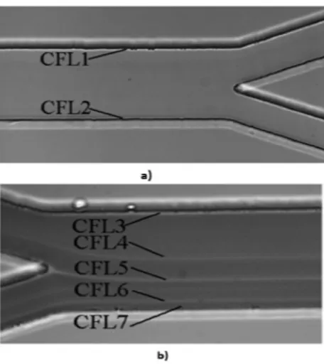 Figure 5 shows the behavior of the CFL at the inlet of the microchannel for 1% Hct (a)) and 15% Hct (b)) with a flow rate of 30 µl/min.