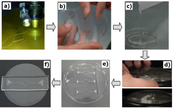 Figure 3. Main steps of the fabrication procedure: (a) Cutting the CAD geometries in the  vinyl paper by means of a cutting plotter; (b) transfer the mold to the petri dish using an  adhesive; (c) pouring the polymer PDMS over the mold to obtain the microc