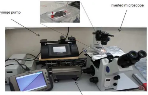 Figure 4. Main experimental equipment used to control and visualize the flow in  microchannels produced by xurography