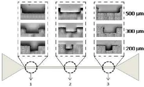 Figure 6. Schematic representation of the microchannel geometry and location of the  sections where the microscopic images were collected to evaluate the geometrical quality