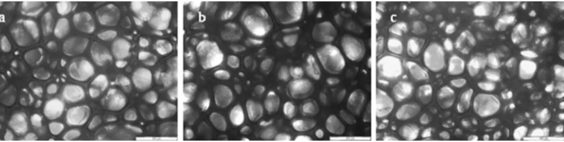 Fig. 1. Optical micrographs of (a) PF100, (b) PF90 and (c) PF80 polyurethane foams (scale bar: 200 ␮m).