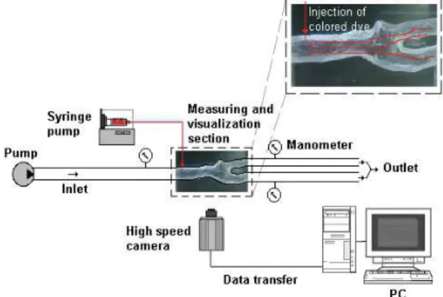 Figure 8: Experimental set-up to perform in vitro flow  visualizations through the fabricated PDMS carotid  channels