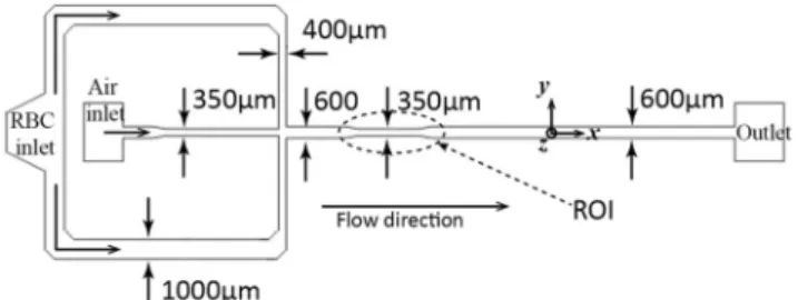 Figure 3 shows the sequential images of bubble flow at the contraction region. When the bubble is generated, CFLs are observed downstream both near the wall and at the center of the microchannel, showing brighter color than other regions.