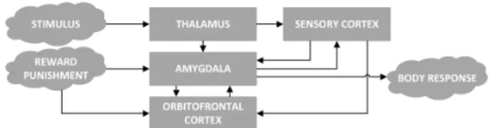 Fig. 1. Amygdala based brain emotional model structure