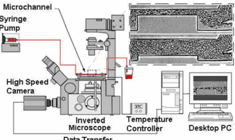 Figure  devices.  1.4. Ima Cell sepa All imag pixels, a with the  L/min.  [24].  Figure 2 1 L/min First, the with ma function region  c converte 1