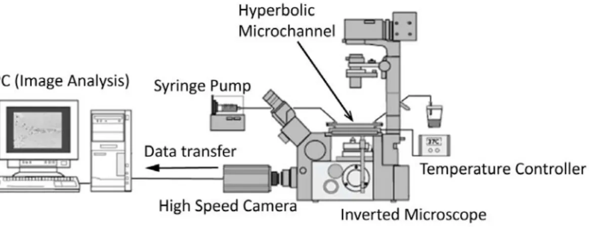 Figure 2: Experimental set-up consisting of an inverted microscope (IX71, Olympus, Japan), a high speed camera (Phantom v7.1, Vision Research, USA), a  syringe pump (KD Scientific Inc., USA) and a thermo plate controller (Tokai Hit, Japan)