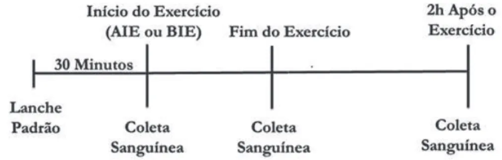 FIGURA 1 - Desenho experimental.
