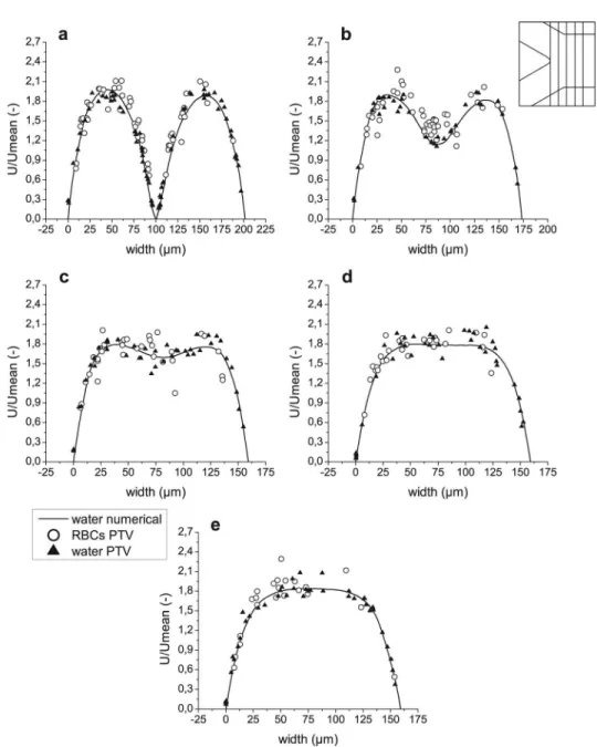 FIG. 10. Velocity profiles for both computational and experimental results after confluence in regions 12–16 ((a)–(e), respectively).