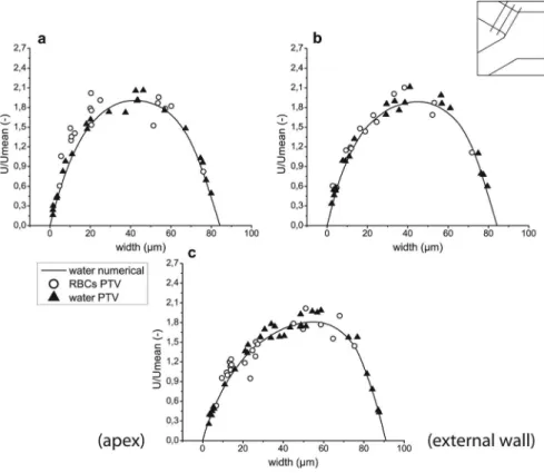 FIG. 11. Velocity profiles for both computational and experimental results before confluence in regions 17–19 ((a)–(c), respectively).