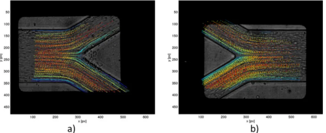 FIG. 6. Real geometry of the bifurcation and the confluence with overlaid velocity field of RBCs.