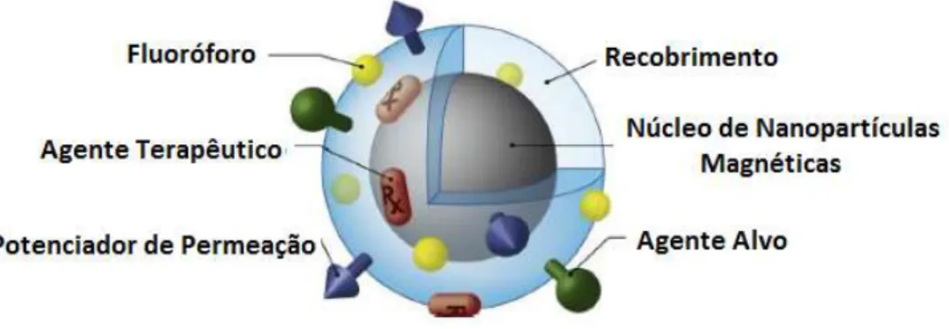 Figura 3: Alguns ligantes que se podem agregar nas nanoestruturas núcleo/coroa (Adaptado de [6])