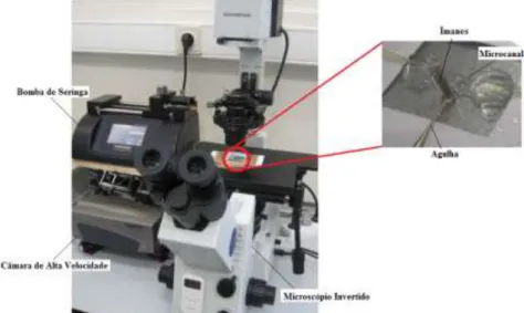 Figura 26: Sistema para a visualização do escoamento no microscópio. 