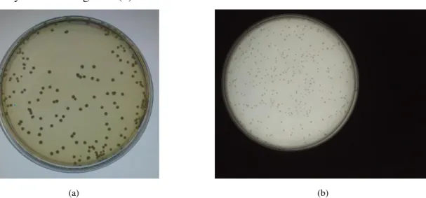 Figure 2: a) Image produced from the beginning for this study (type A) and b) Image obtained from the existing  library (type B)  [14]