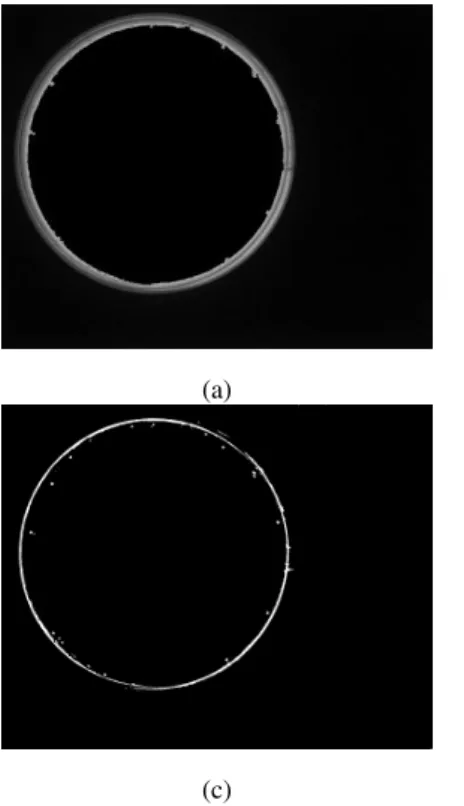 Figure 14: (a) image of rim area obtained by subtracting Figure 12 (c) by Figure 12 (f); (b) results of bottom-hat  transform of (a); (c) binarization of (b); (d) final image of rim elimination using properties of objects (eccentricity, 