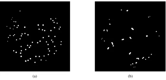 Figure 16:  (a) isolated colonies; (b) clustering colonies. 