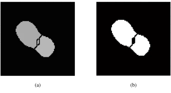 Figure 18: (a) enlarged example of watershed operation; (b) final result after eliminating the small non-colony pixels