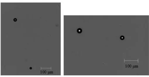 Figura 41.Visualização de micropartículas de PDMS, após o processo de cura. 