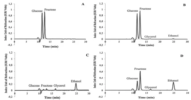 Figure 2. Concentration of glucose, fructose, glycerol, acetic acid and ethanol determined by high performance liquid chromatography (HPLC) on the honey must of Melipona scutellaris (Hymenoptera: Apidae: Meliponina) at the initial time (A), after 48 h of f