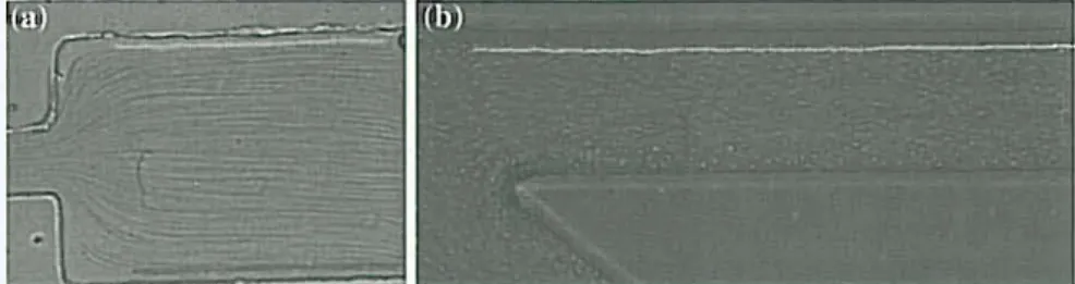 Fig.  4  Manual  melhod  showing  lhe  trajectories  of labeled  RBC:  a  for  an  expansion  geomelry; 