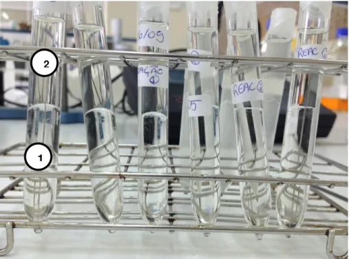 Figure 7  –  Visual appearance of the separated layers. 