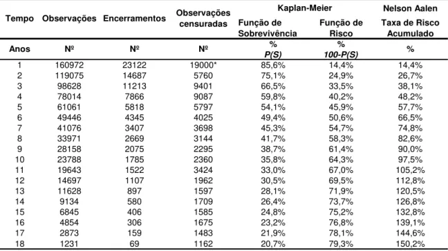 Tabela 2: Tabela de sobrevivência e risco para novas empresas criadas, 1987-2005  Nelson Aalen  Função de  Sobrevivência Função de Risco Taxa de Risco Acumulado % % P(S) 100-P(S) 1 160972 23122 19000* 85,6% 14,4% 14,4% 2 119075 14687 5760 75,1% 24,9% 26,7%