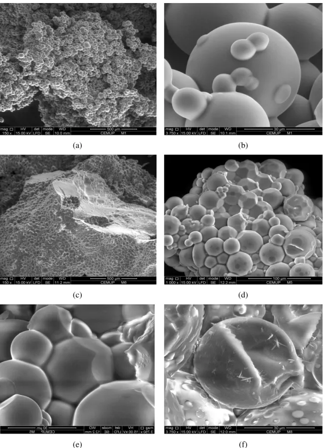 Figura 28: Micrografias SEM de partículas de diferentes hidrogéis sintetizados por suspensão inversa