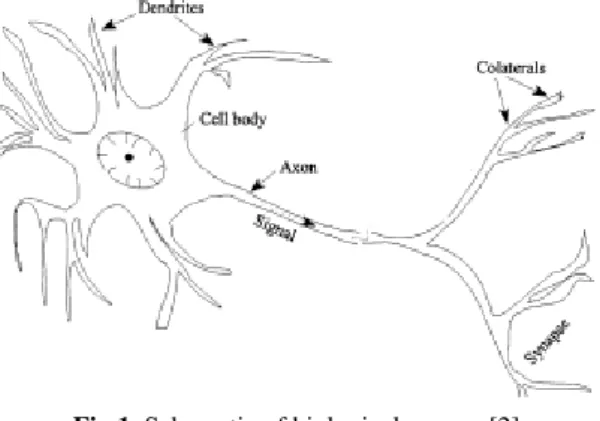 Fig 2. A neural network model [6] 