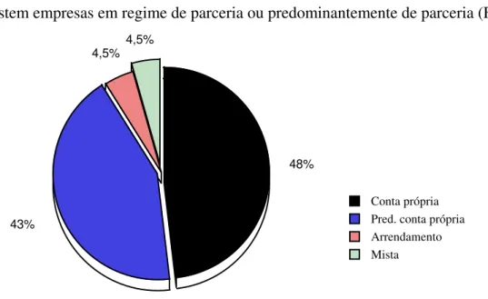 Fig. nº 9 - Forma de exploração agrícola em Babe 