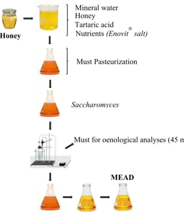 Figure 1. General scheme of modern mead production.  
