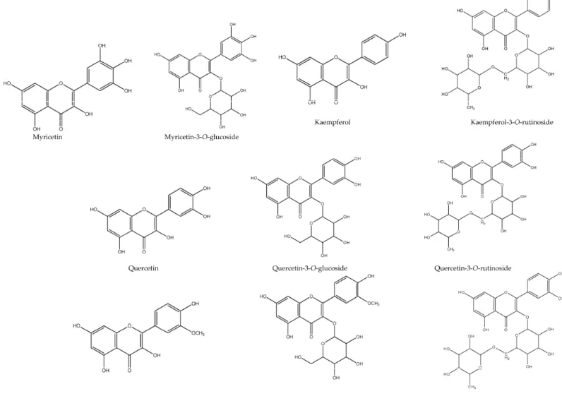 Figure 2. Flavonols’ chemical structures.