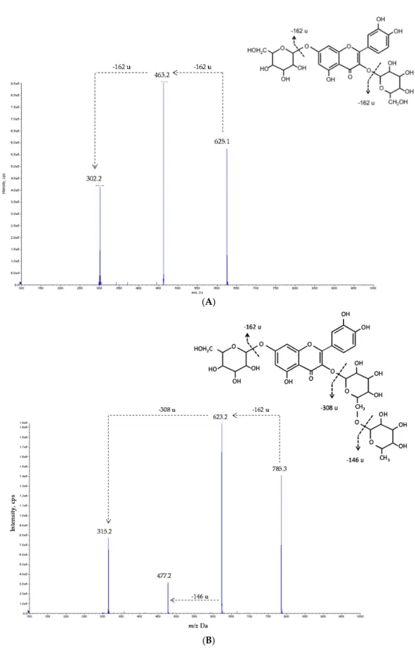 Figure 3. Fragmentation pattern of: (A) quercetin-3-O-glucoside-7-O-glucoside (possible identification for compound 4) and (B) isorhamnetin-3-O-rutinoside-7-O-glucoside (possible identification for compound 5).