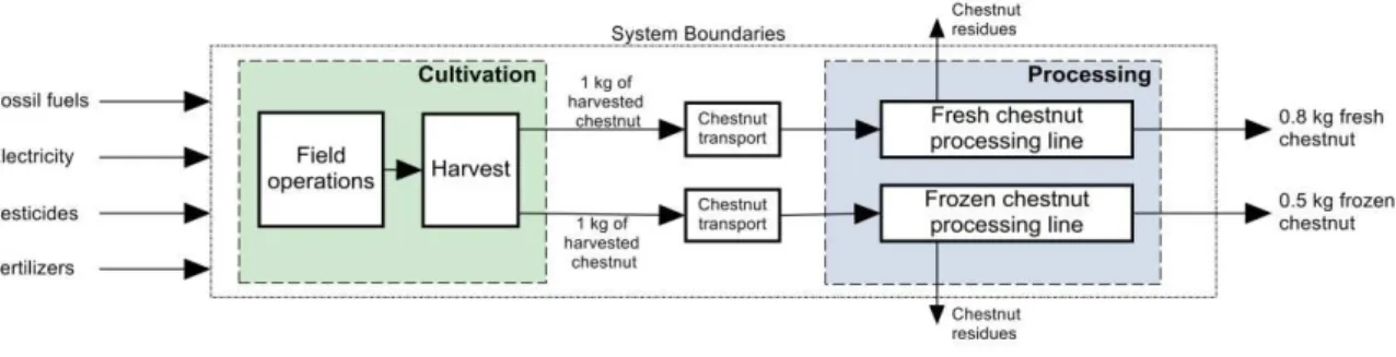 Figure 1 – Chestnut production system. 