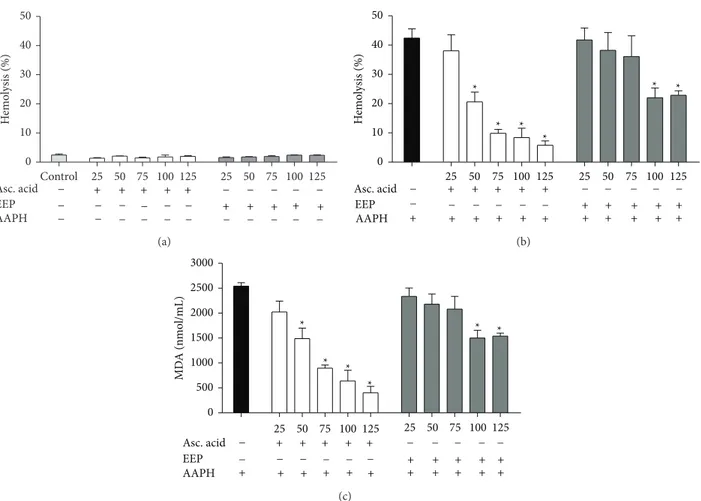 Figure 2: Human erythrocytes incubated at 240 min with ascorbic acid and EEP of T. fiebrigi (25–125 